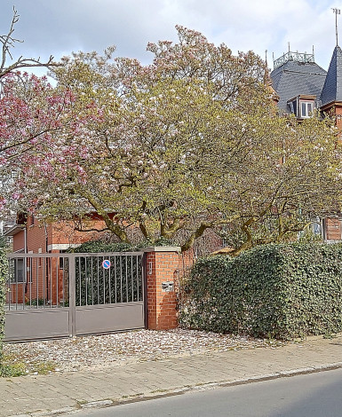 stone_memory_estate-photo_album-1745310443