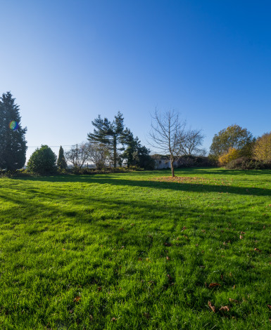 stone_memory_estate-photo_album-1751914542