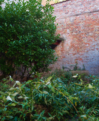 stone_memory_estate-photo_album-1752265092