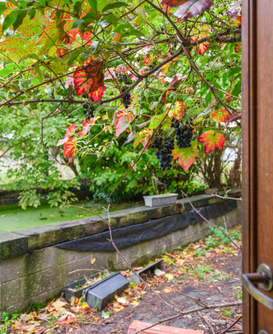 stone_memory_estate-photo_album-1762276395